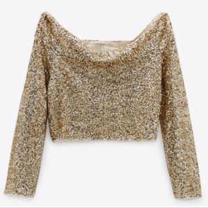 COPY - Zara Two Piece Sequin Set